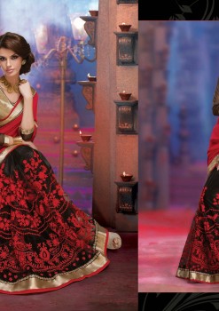 Black & Red Alluring beautiful Designer Saree