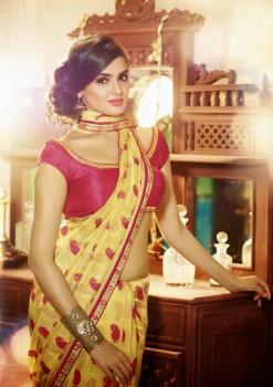 Colourful Elegant Designer Saree