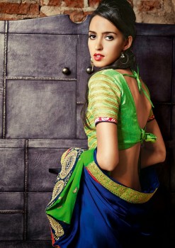 Royal Touch Designer Saree