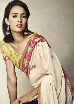 Royal Touch Designer Saree