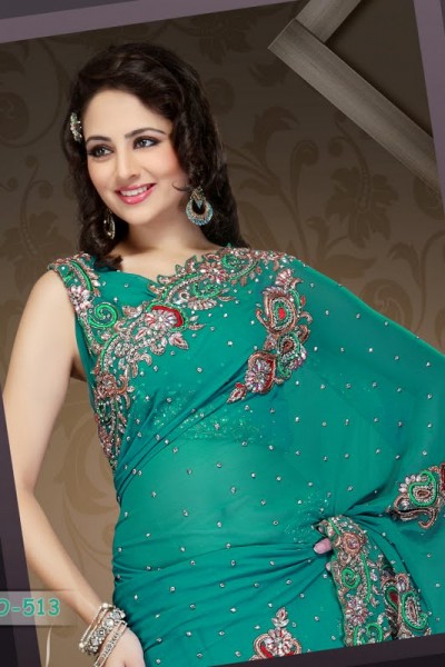 Traditional Attire Designer Saree