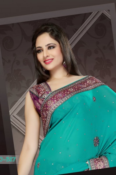 Traditional Attire Designer Saree