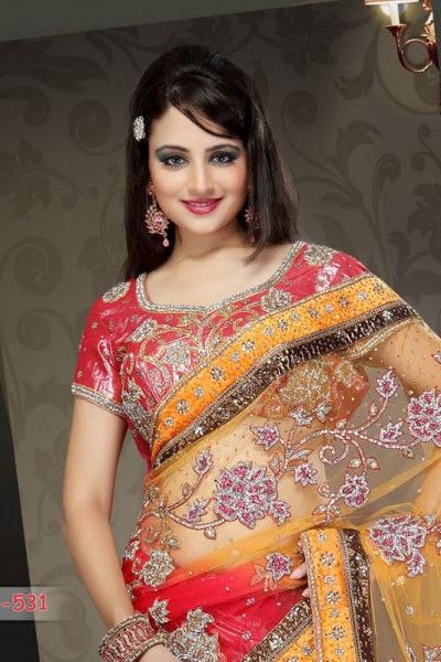 Traditional Attire Designer Saree