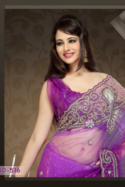 Traditional Attire Designer Saree