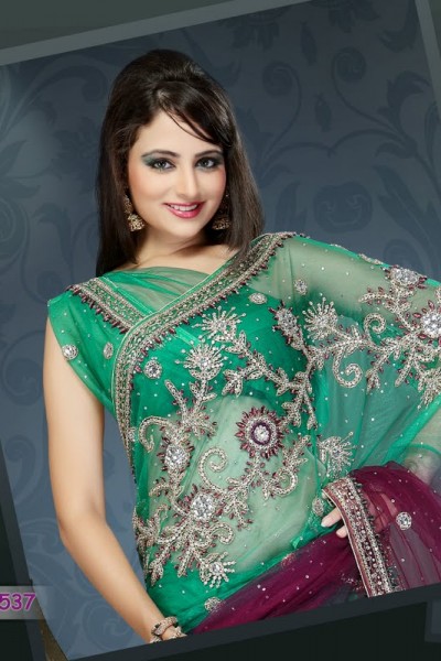 Traditional Attire Designer Saree