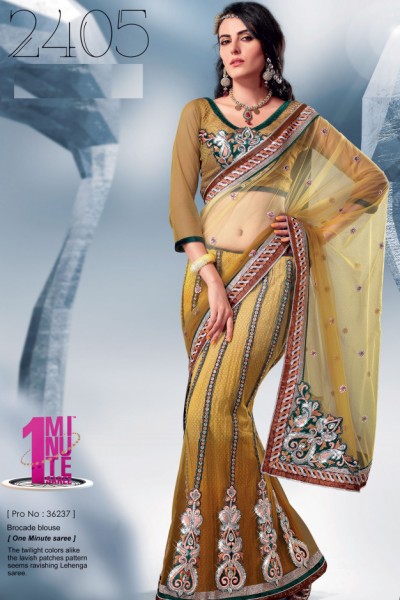 Express Delivery - Designer Saree 1