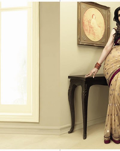 Express Delivery - Designer Saree 1