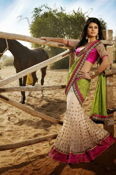 Express Delivery - Designer Saree 1
