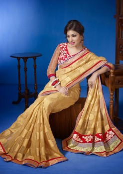 Express Delivery - Designer Saree