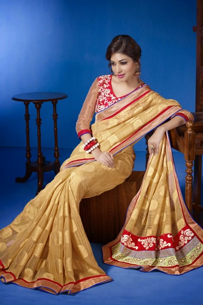 Express Delivery - Designer Saree 1