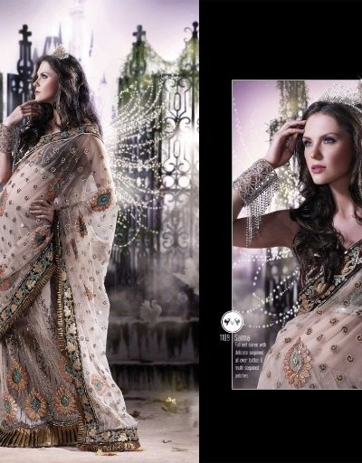 Express Delivery - Designer Saree 1