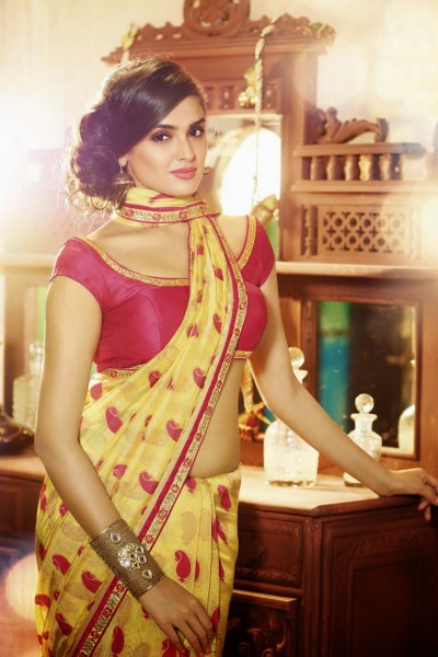 Colourful Elegant Designer Saree