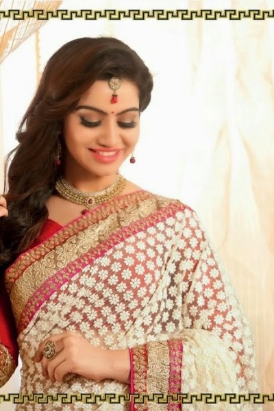 Fabulous Designer Saree