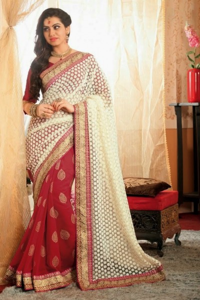 Fabulous Designer Saree 1