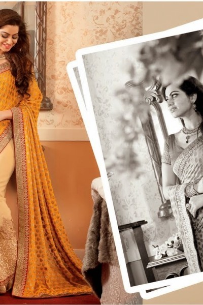 Fabulous Designer Saree 1