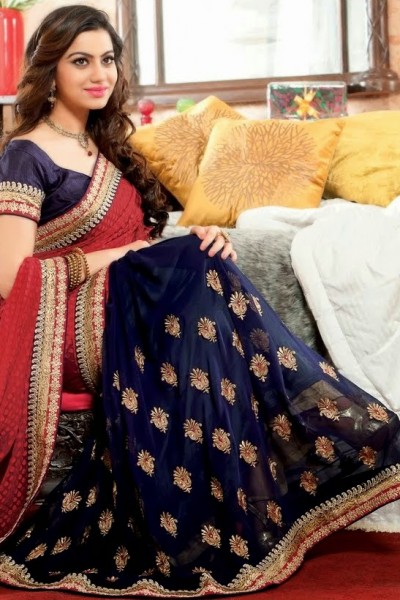 Fabulous Designer Saree