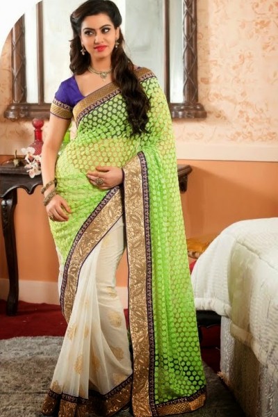 Fabulous Designer Saree 1