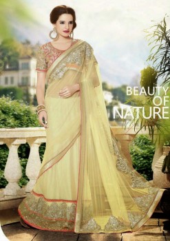 Smart Choice Designer Saree